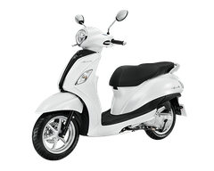 Màu trắng - đen (bản Tiêu Chuẩn)