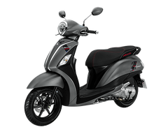 Màu xám - đen (bản Tiêu Chuẩn)