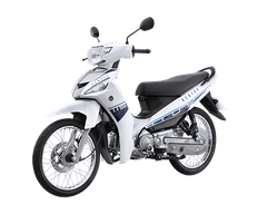 Màu trắng - bạc - đen