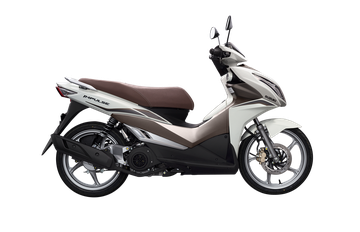 Màu trắng - nâu - bạc