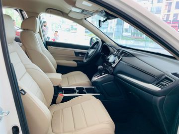 Bản tiêu chuẩn sử dụng ghế da màu be