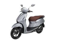 Màu bạc - đen (bản Giới Hạn)