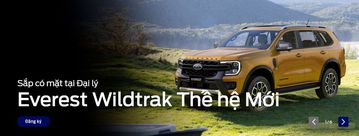 Banner quảng cáo trên web của Ford Việt Nam