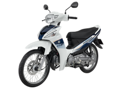 Màu trắng - xanh (màu mới)