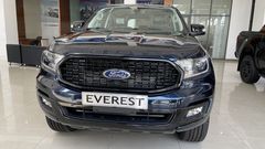 Lưới tản nhiệt trên Ford Everest 2021 sơn đen
