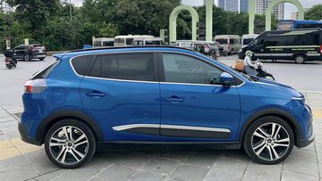 Phần hông có các đường gân dập nổi chạy dọc kéo dài từ trước ra sau