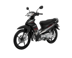 Màu đen bạc (bản Vành đúc)