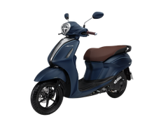 Màu xanh - đen (bản Giới Hạn)