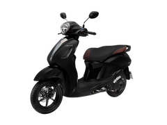 Màu đen (bản Tiêu Chuẩn và Đặc Biệt)