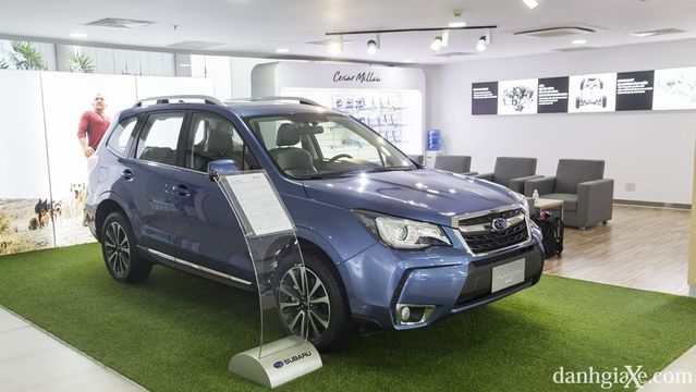 Ford tại Đà Nẵng, Điểm danh những dòng xe lội nước tốt nhất