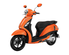 Màu cam - đen (bản Giới Hạn)