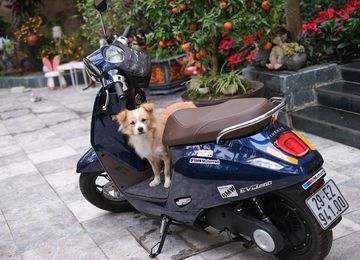 Đường nét góc cạnh nhằm tôn lên dáng vẻ trang nhã và hài hòa, thanh thoát đầy tinh tế