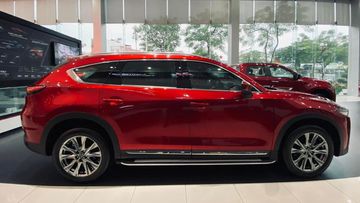 Khu vực trưng bày